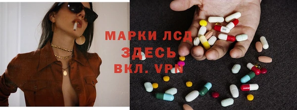 индика Козельск