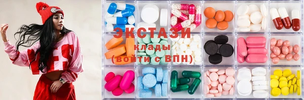 индика Козельск