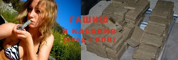 индика Козельск