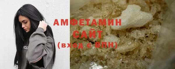индика Козельск