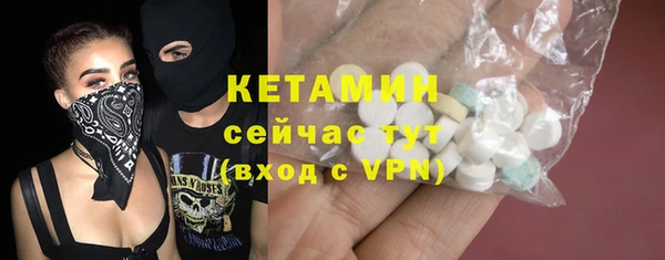 индика Козельск