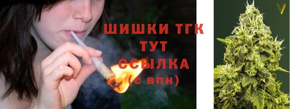 индика Козельск