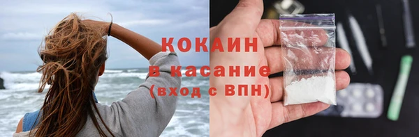 индика Козельск