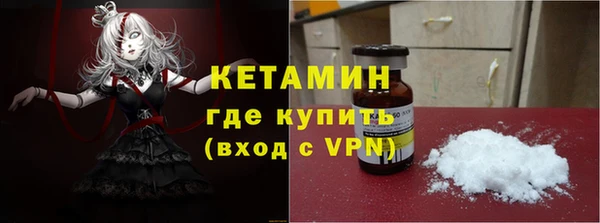 индика Козельск