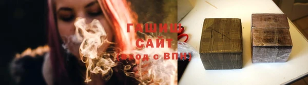 индика Козельск