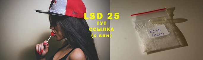 индика Козельск