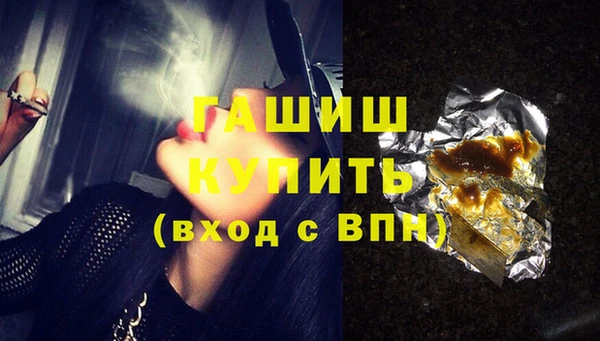 индика Козельск