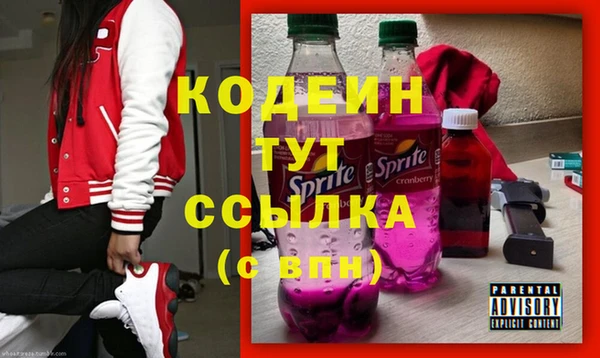 индика Козельск