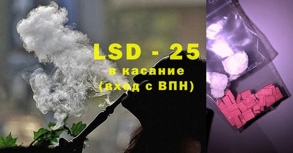 индика Козельск