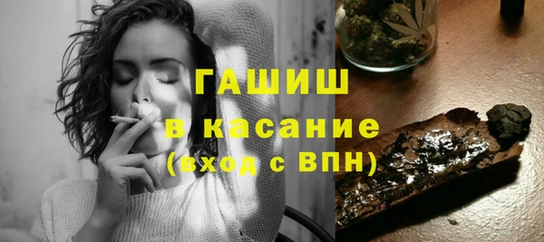 индика Козельск