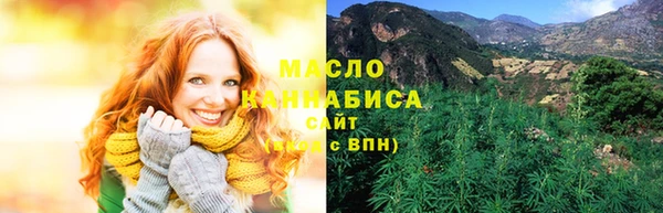 индика Козельск