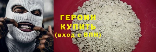 индика Козельск