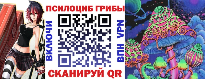 купить наркотики сайты  Михайлов  Псилоцибиновые грибы мицелий 
